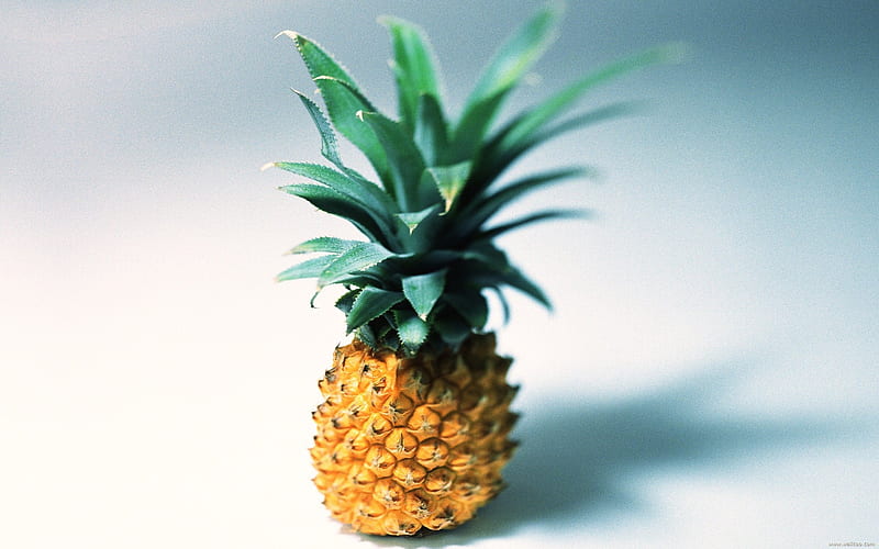 fruit graphy Pineapple, HD wallpaper