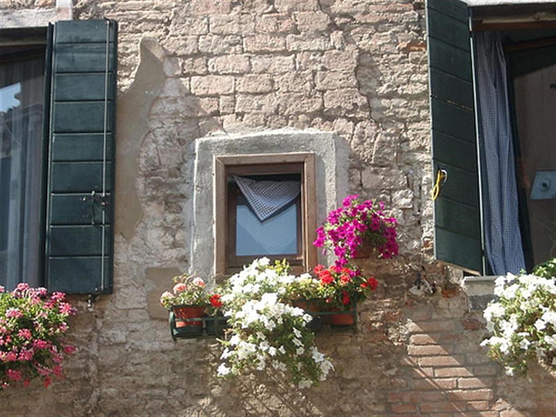 venezia window, venezia, window, HD wallpaper