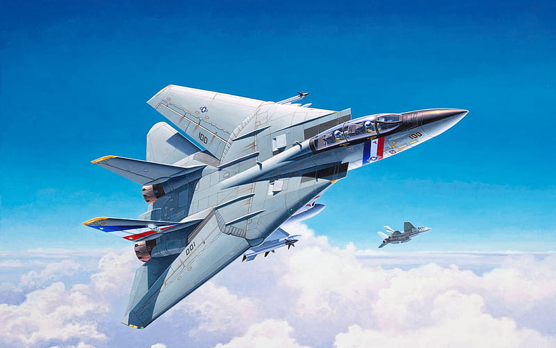 Grumman F-14 Tomcat, american fighter jet, F-14, US Navy, US military aircraft, USA, HD wallpaper