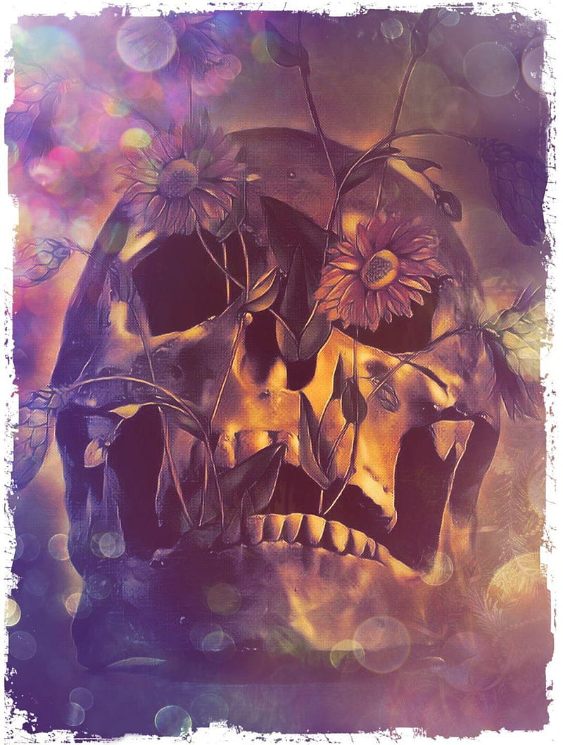pretty planter, flowers, purple, skull, HD phone wallpaper