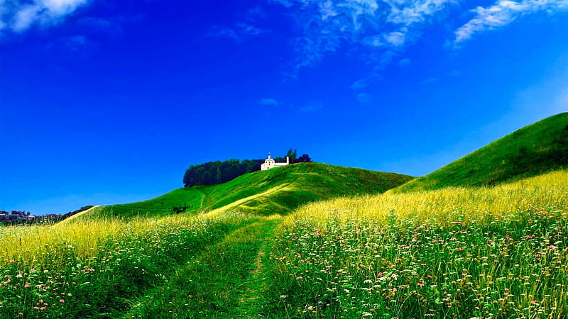 Trải nghiệm cảm giác tuyệt vời khi đắm mình trong vùng đồi cỏ xanh bao la, với tầm nhìn rộng mở, bầu trời xanh ngát, cùng đồng cỏ xanh mướt như một bức tranh thực sự đẹp tuyệt. Những gì bạn cần là giữ chặt tay người thương và để tâm hồn thư giãn trong khung cảnh này.