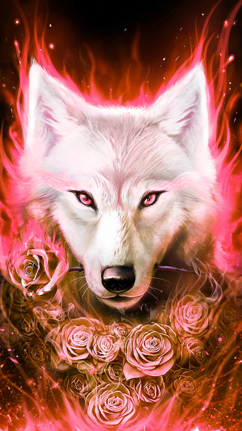 Wolf and roses, animal, fantasy, pink, white, HD phone wallpaper