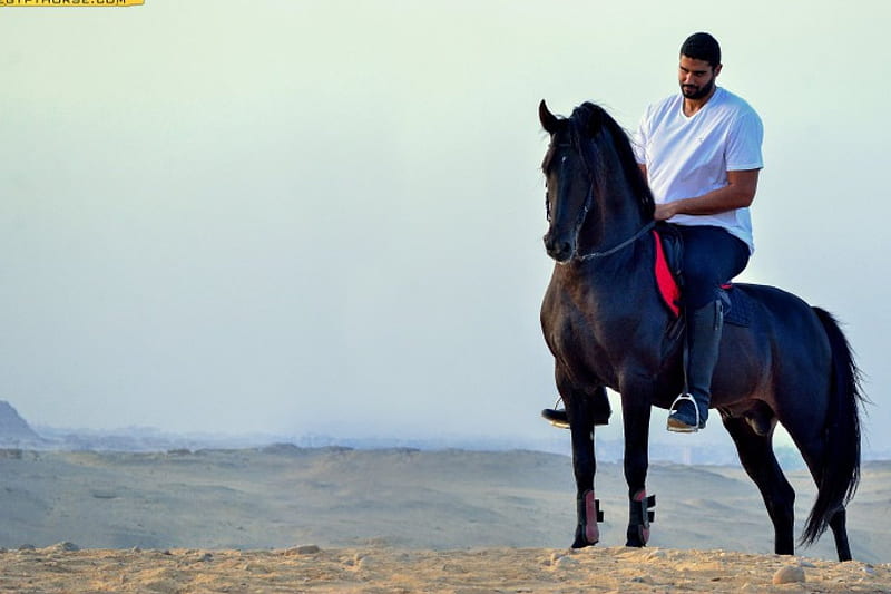 On horseback, desert, horse, Arabian, rider, HD wallpaper