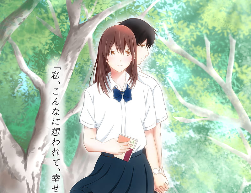 Anime, I Want To Eat Your Pancreas, Haruki Shiga, Sakura Yamauchi, HD  wallpaper | Peakpx