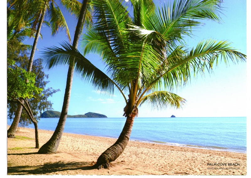 Palm Cove Beach Queensland Australia, beach, sand, sunshine, palms, HD wallpaper