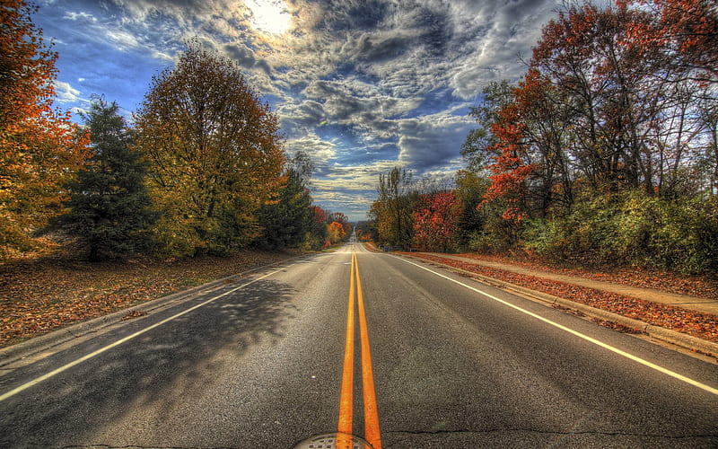 autumn, road, trees, bright sun, USA, R, HD wallpaper