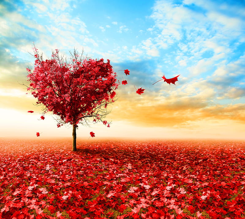 Love Tree, blue sky, heart, leafs, nature, HD wallpaper