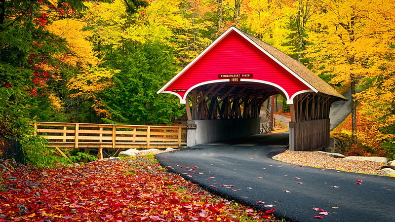 Covered Bridge Road Between Beautiful Colorful Autumn Trees Forest Background Autumn, HD wallpaper