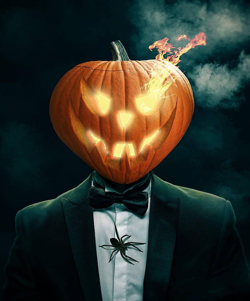Halloween, favorites, halloween favorites, halloween , owls, pumpkin, skull, theme, HD phone wallpaper