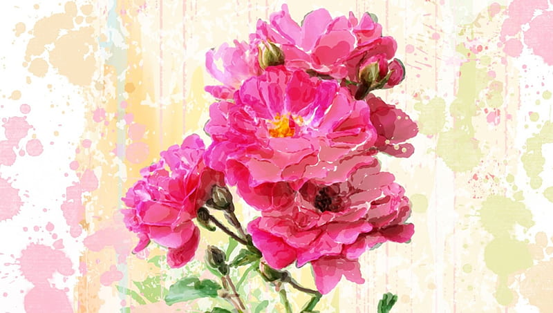 Bright Pink Summer, Persona theme, paint, splatter, wild rose, splash, summer, flowers, pink, watercolor, HD wallpaper