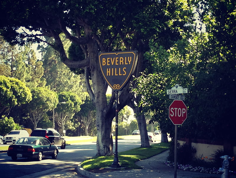 Beverly Hills Photos Download The BEST Free Beverly Hills Stock Photos   HD Images