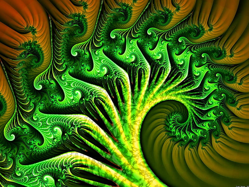 broccoli fractal, colorful, 3d, animated, fractal, HD wallpaper
