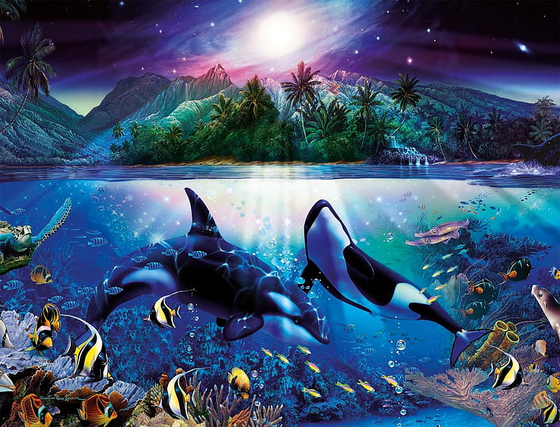 HARMONIOUS ORCAS, whales, orcas, harmony, ocean, HD wallpaper | Peakpx