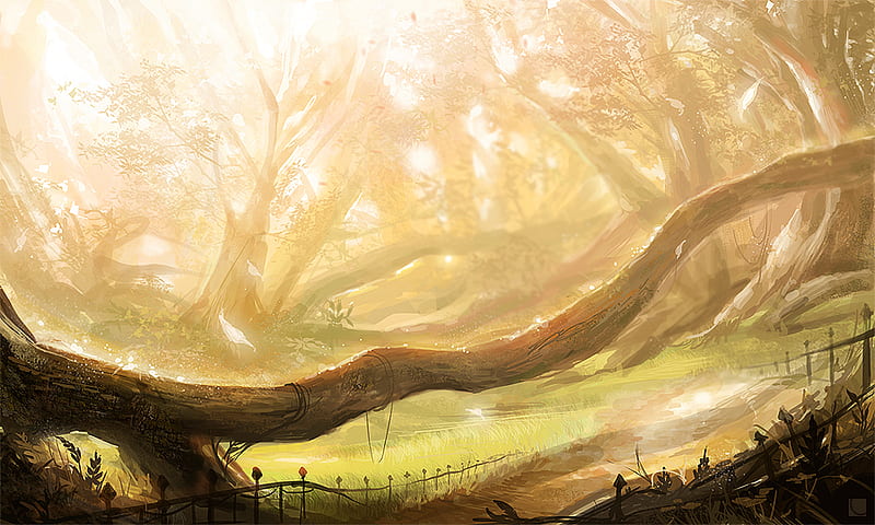 Anime Forest, sun, sunlight, carv, forrest, tree, anime, bright, orignal  artwork, HD wallpaper | Peakpx