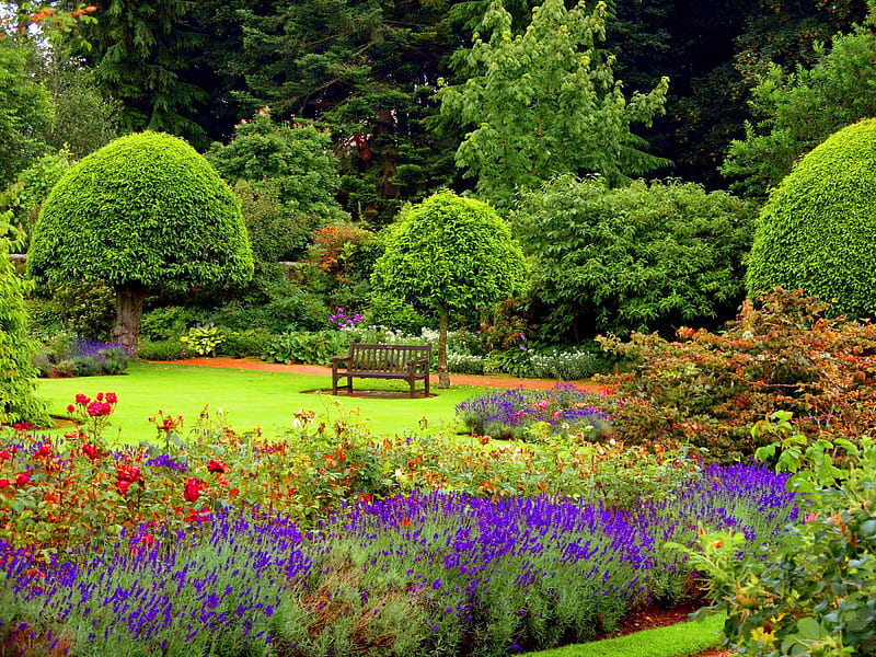Have a seat, pretty, colorful, grass, bonito, bushes, nice, green, flowers, rest, forest, lovely, seat, relax, greenery, place, bench, park, trees, freshness, summer, garden, nature, HD wallpaper