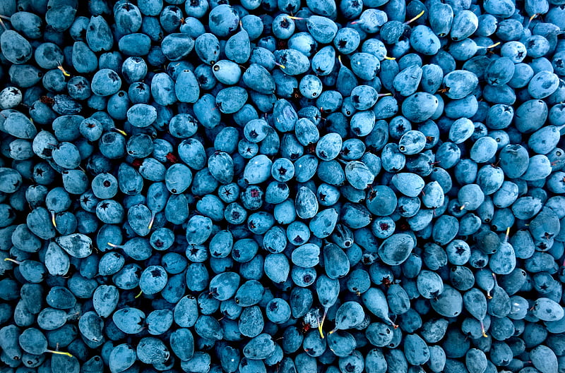 Blueberries, blueberry, fruits, food, HD wallpaper