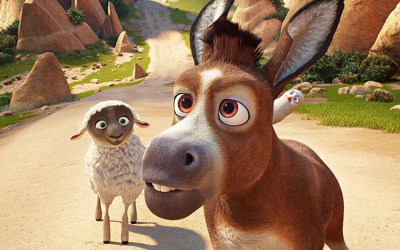 Donkey Bo, sheep, 2017 movie, 3d-animation, The Star, HD wallpaper