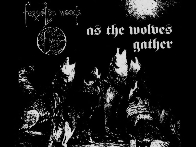Forgotten Woods , black metal, forgotten woods, dark, underground music, wolves, night, HD wallpaper