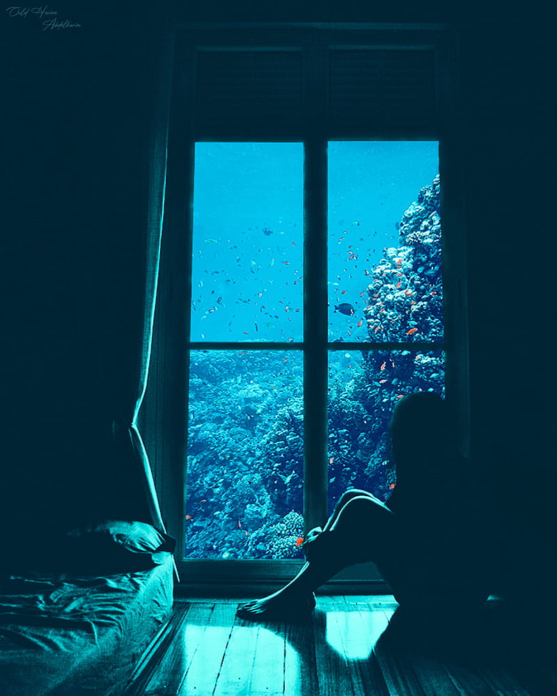 Underwater, blue, dark, deep, home, love, morning, room, silent, HD phone  wallpaper | Peakpx