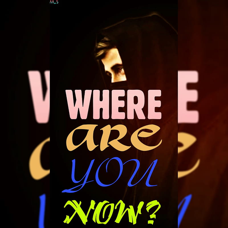 where are you now  Alan Walker - Faded 