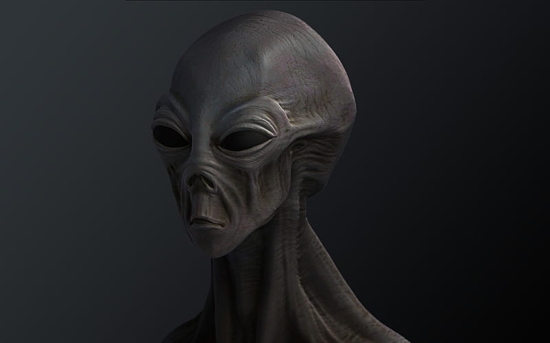 Alien-Area 51, gris, 3d, cg, abstarct, HD wallpaper