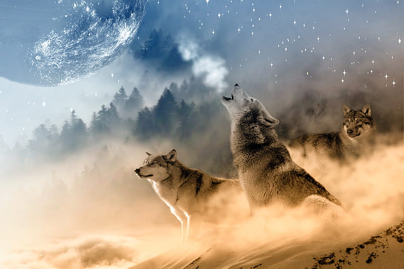 Wolfpack, predators, planet, snow, digital, wolves, howling, artwork, HD wallpaper
