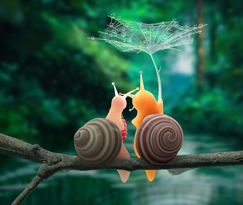 Good Morning!, green, snail, water drops, dew, dandelion seed, alina yanovska, couple, lovers, cute, morning, HD wallpaper