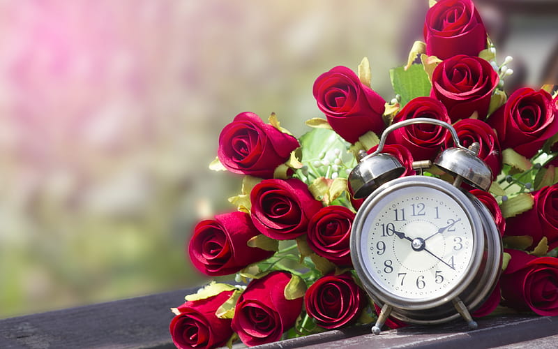 red roses, alarm clock, beautiful roses, bouquet of red flowers, romance, HD wallpaper