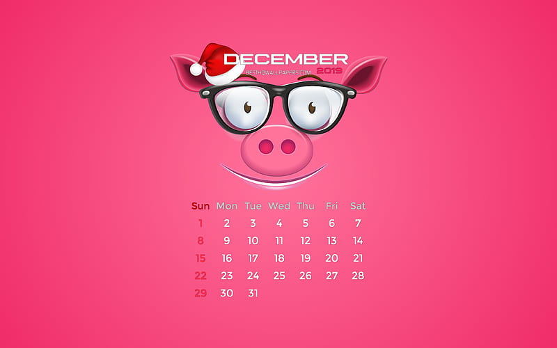 December 2019 Calendar winter, pink piggy, 2019 calendar, December 2019, creative, piggy with santa hat, December 2019 calendar with pig, Calendar December 2019, pink background, 2019 calendars, HD wallpaper
