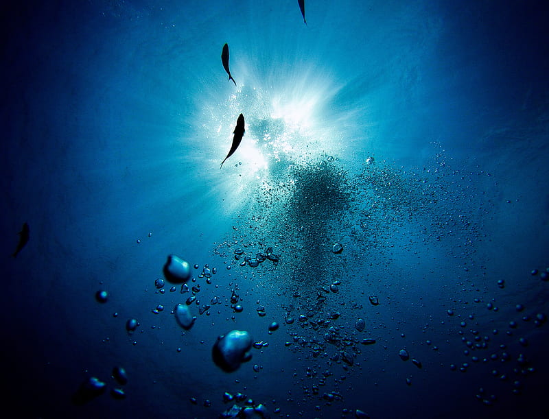 water, bubbles, fish, underwater, depth, HD wallpaper
