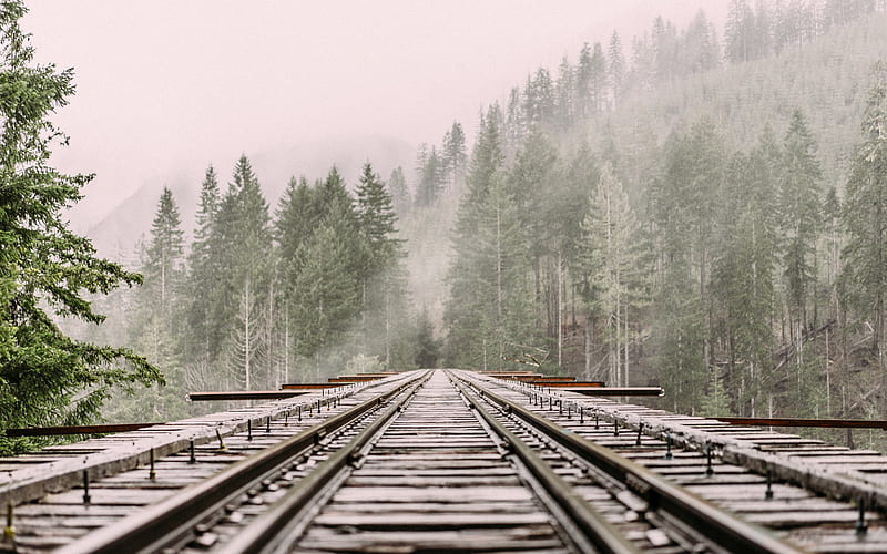 gray steel train rails, HD wallpaper