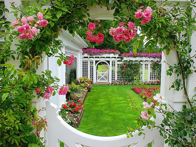 Rose window, window, flowers, vines, garden, roses, HD wallpaper