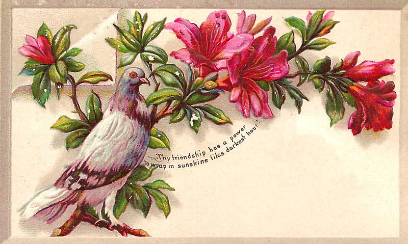 Victorian Calling Card ~ Thy Friendship, Pink, Vintage, Card, Floral, Retro, Victorian, HD wallpaper