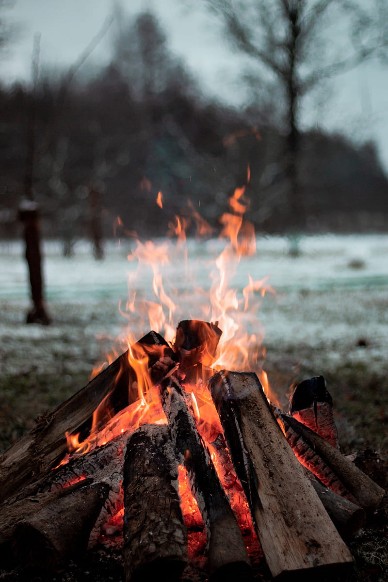 bonfire, fire, wood, flame, burn, HD phone wallpaper