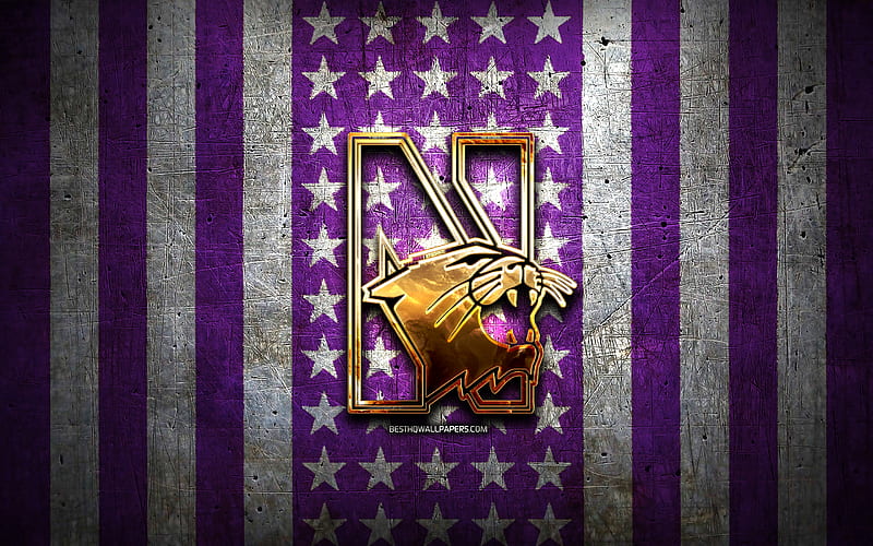 Northwestern Wildcats flag, NCAA, violet white metal background, american football team, Northwestern Wildcats logo, USA, american football, golden logo, Northwestern Wildcats, HD wallpaper