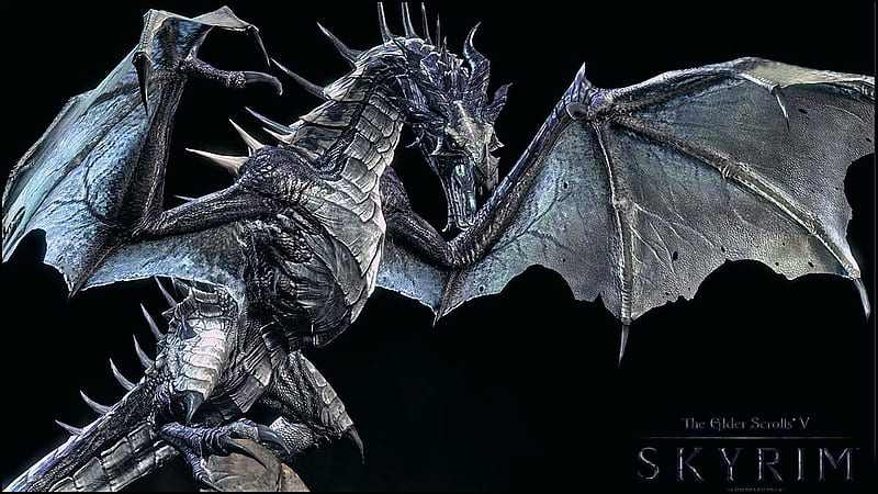 SKYRIM (The Elder Scrolls V) by DALISSA STUDIO, the eder scrolls, video  games, HD wallpaper | Peakpx