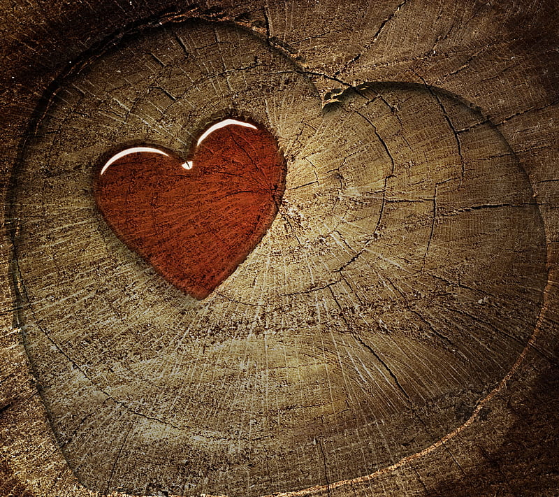 TREE STUMP, brown, heart, love, red, wood, HD wallpaper