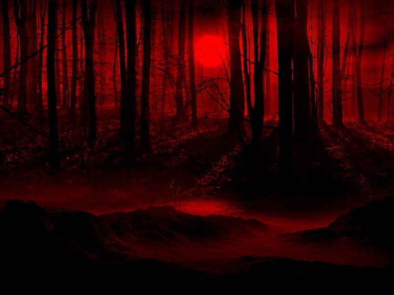 DARK NIGHT FULL MOON, red, forest, moon, dark, night, HD wallpaper
