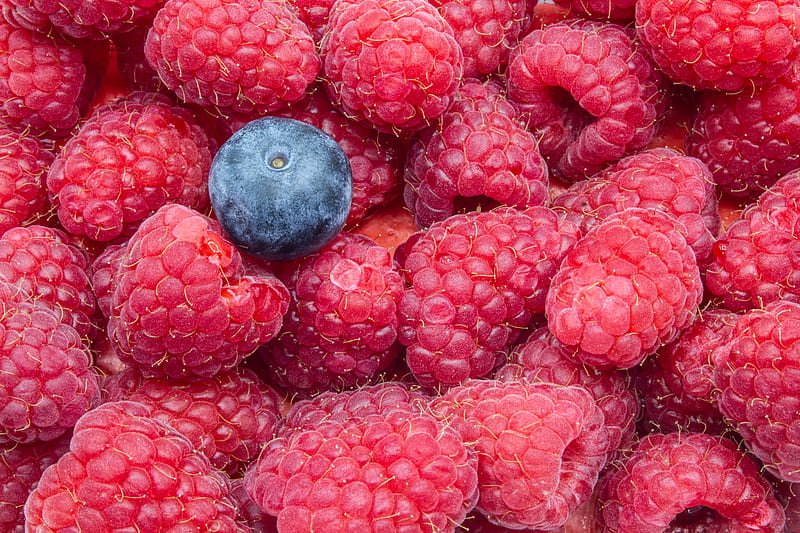 raspberries, blueberries, berries, ripe, macro, HD wallpaper