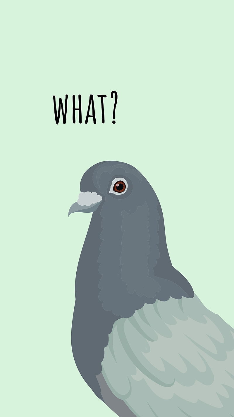 Funny Pigeon, aesthetic background, cartoon bird, cool artsy, humor, meme iPhone , sarcasm, sarcastic bird, trending, watercolor, HD phone wallpaper