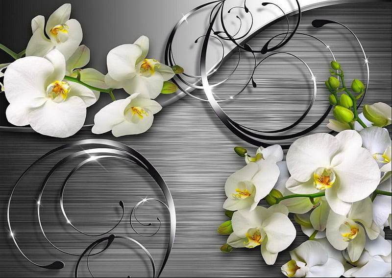 Orchids background, flowers, bonito, orchids, background, HD wallpaper