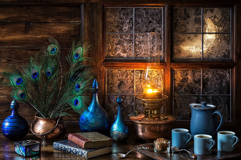 Moonlit Evening, books, copper, coffee pot, still life, frosty, flame, moon, cauldron, spoons, tray, bottles, cups, feathers, decanter, frost, wood, table, peacock feathers, lamp, window, coffee decanter, decanters, windows, coffee, oil lamp, HD wallpaper