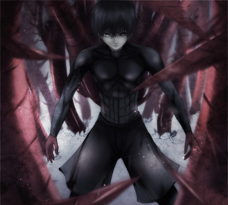 Anime, Tokyo Ghoul:Re, Hd Wallpaper | Peakpx