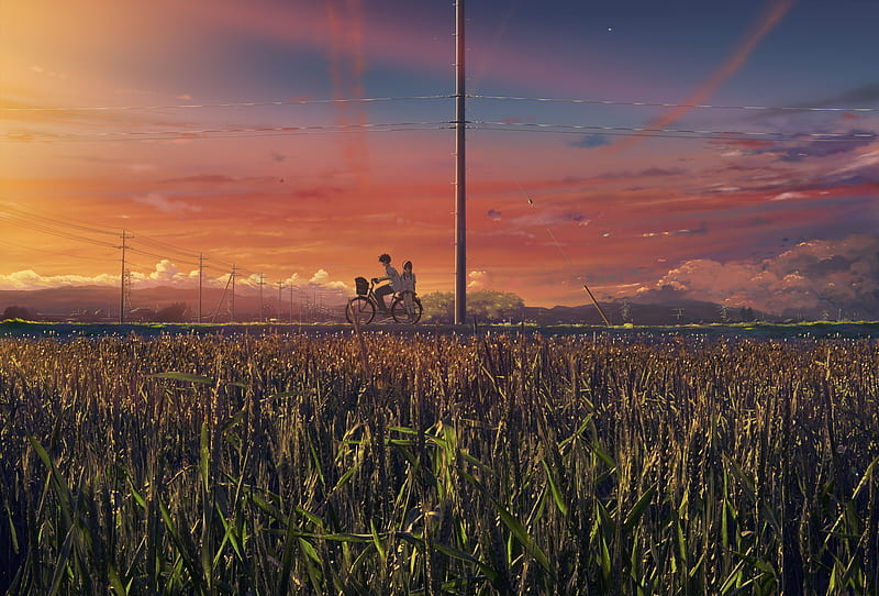 Ride Back Home, 5 centimeters per second, boy, girl, bicycle, bonito, sunset, byousoku 5 centimeters, field, HD wallpaper