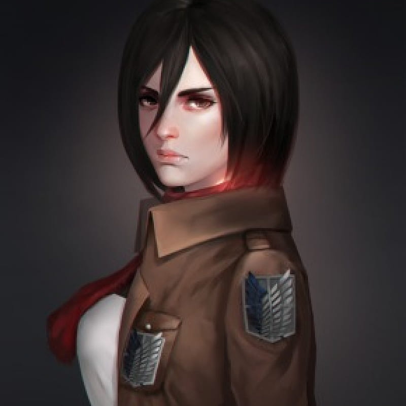 Mikasa Pretty Brown Cg Bonito Sweet Nice Attack On Titan