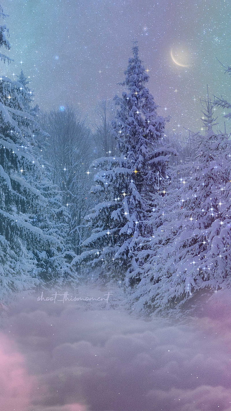 41 Winter Aesthetic Wallpapers for a Frosty, Magical Phone Screen