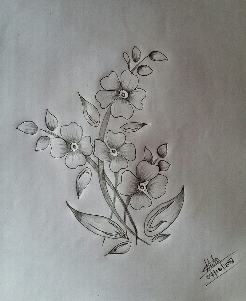 Flower, painting, tom, kiss, butterflies, natural flower, beauty, drawing,  pencil art, HD phone wallpaper | Peakpx