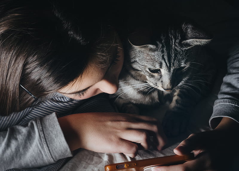 girl holding smartphone beside cat watching reclining to her shoulder, HD wallpaper