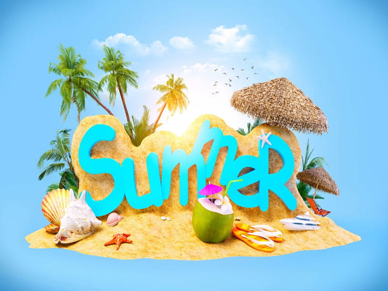 Summer Beach, Sunlight, Birds, Starfish, Coconut, Palms, Shell, HD ...