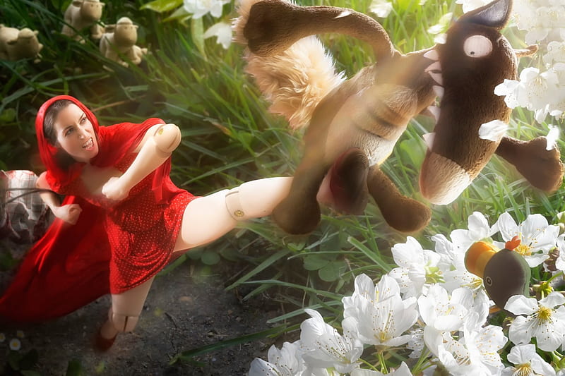 Fantastic Red Riding Hood, fantastic, toy, red riding hood, fantasy, green, flower, funny, wolf, white, HD wallpaper
